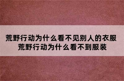 荒野行动为什么看不见别人的衣服 荒野行动为什么看不到服装